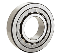 Cylindrical Roller Bearing - Separable Inner Ring w/ One Rib, Outer Ring w/ Two Ribs