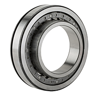 Cylindrical Roller Bearing - Separable, Plain Inner Ring, Outer Ring w/ Two Ribs, Snap Ring Groove