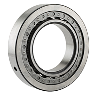 Cylindrical Roller Bearing - Separable, Plain Inner Ring, Outer Ring w/ Two Ribs, Dowel Hole