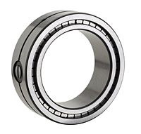 Double Row Cylindrical Roller Bearing w/ Free Side - SL02 Type