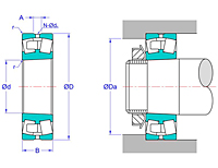 Double Row Spherical Roller Bearings with Tapered Bore