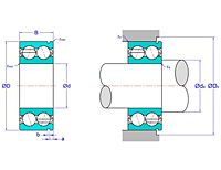 Double Row Angular Contact Ball Bearings with Snap Ring Groove (N)