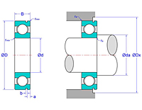 Deep Groove Ball Bearings with Snap Ring Groove