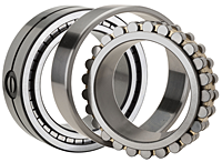 Double Row Cylindrical Roller Bearings