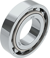 Cylindrical Roller Bearings - N Design