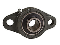 2-Bolt Flange UCFL 300 Silver Series (UCFL305-25MM)