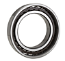 Cylindrical Roller Bearing w/ Tapered Bore - Inner Ring w/ Two Ribs, Plain Outer Ring