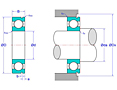 Deep Groove Ball Bearings with Snap Ring Groove