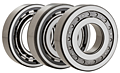 Single Row Cylindrical Roller Bearings